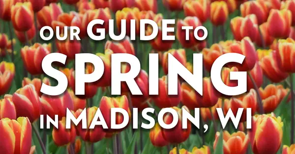 Guide To Spring