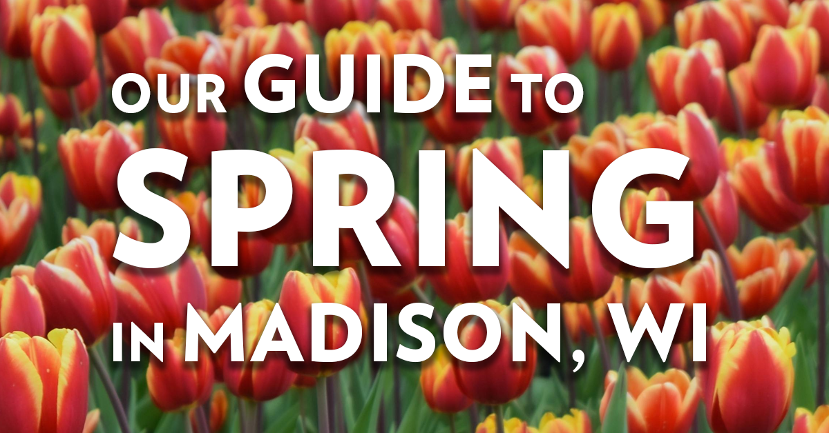 Guide To Spring