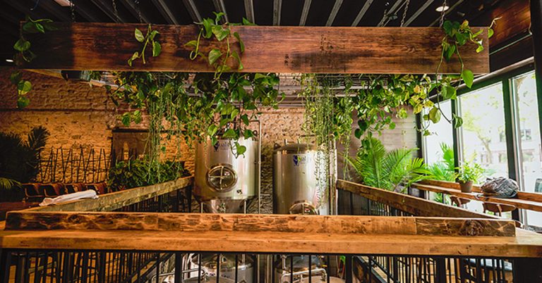 Young Blood Brewing Company interior